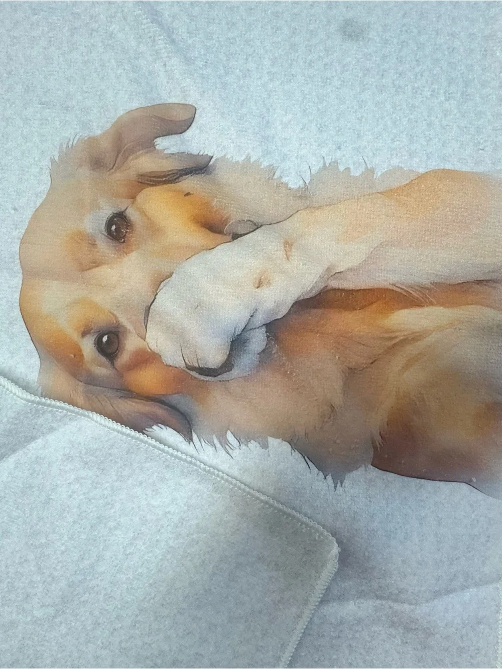Blank Brand Golden Dog Print Pet Blanket - Cream